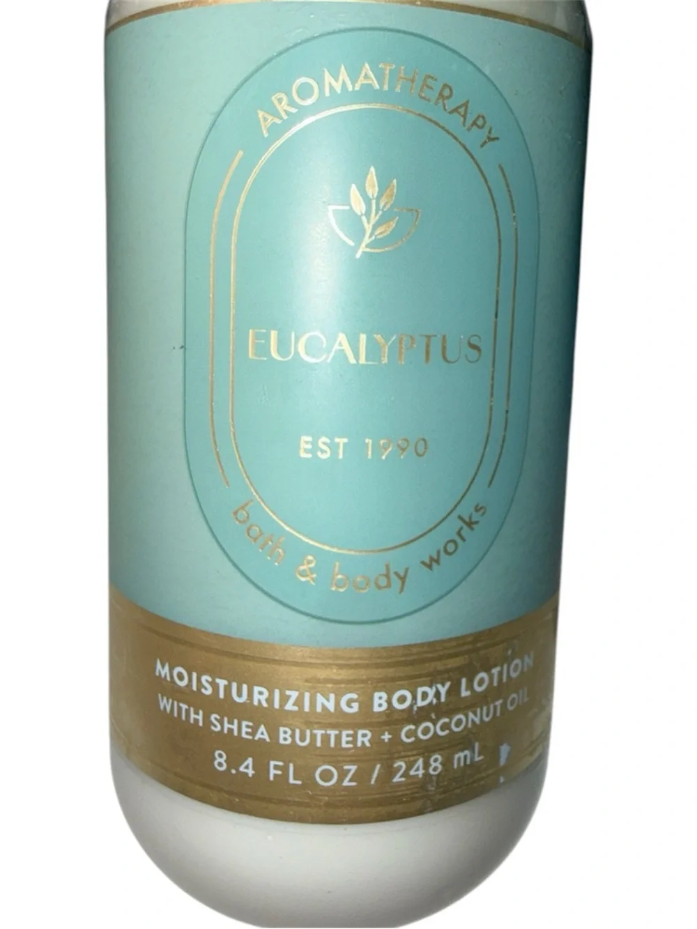 Bath & Body Works Eucalyptus Set Lotion + Eucalyptus Pine Mist